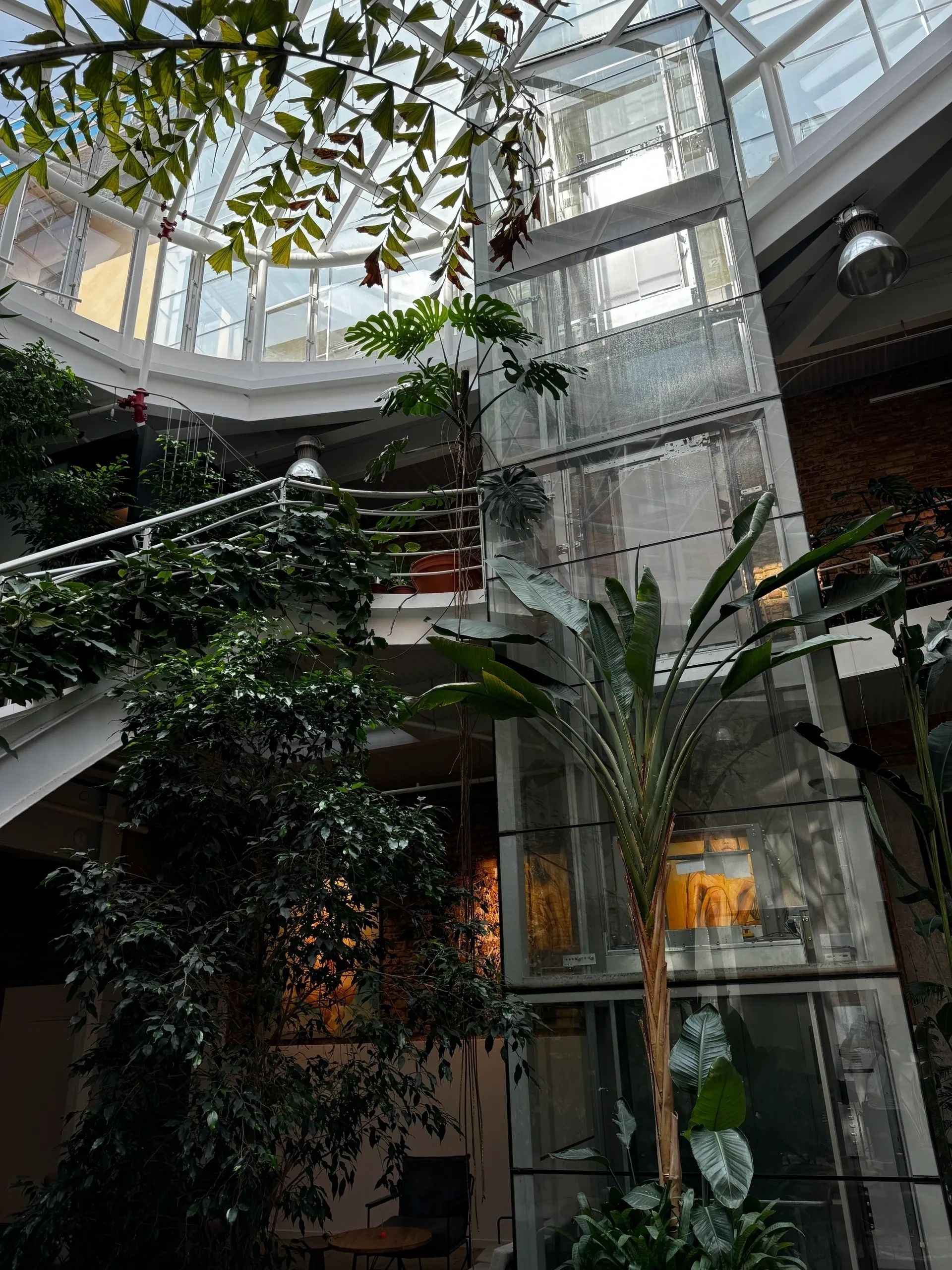 The bright glass-roofed interior of Jungle Prague